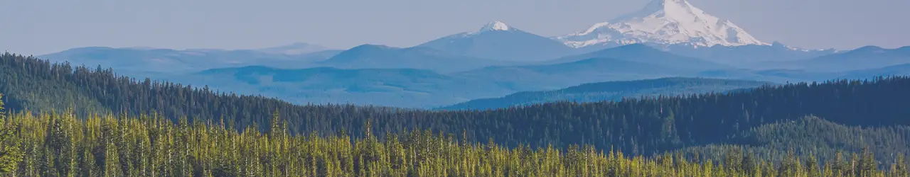 Attorneys, Lawyers, Oregon, Eugene, Springfield