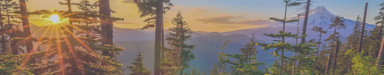 Attorneys, Lawyers, Oregon, Eugene, Springfield
